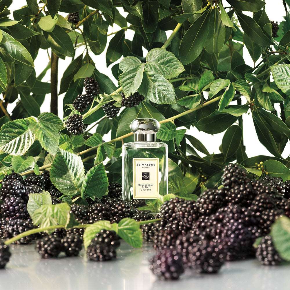 Jo Malone London Blackberry & Bay Cologne Eau De Cologne