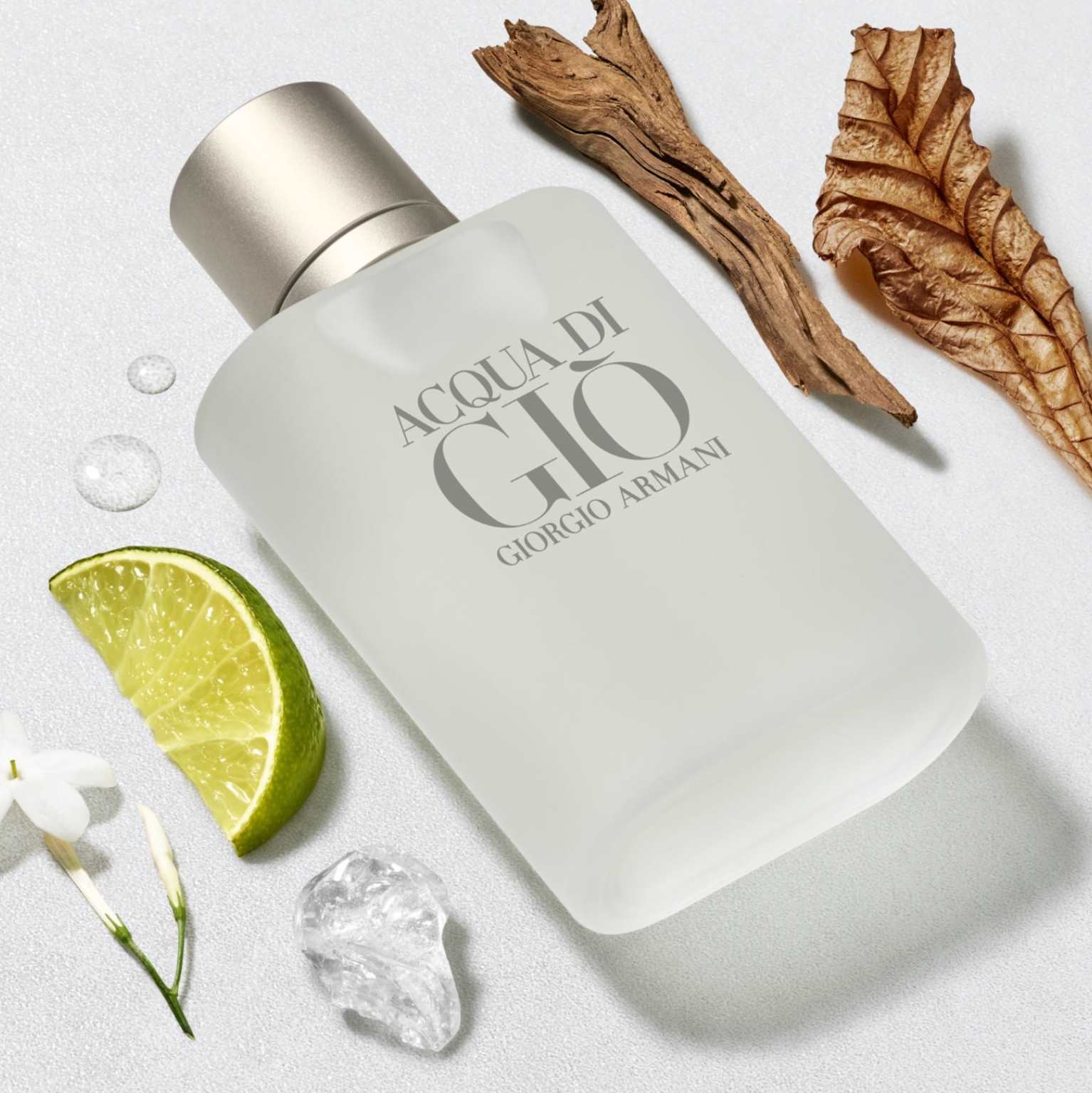 Armani Acqua di Gio Pour Homme Eau de Toilette