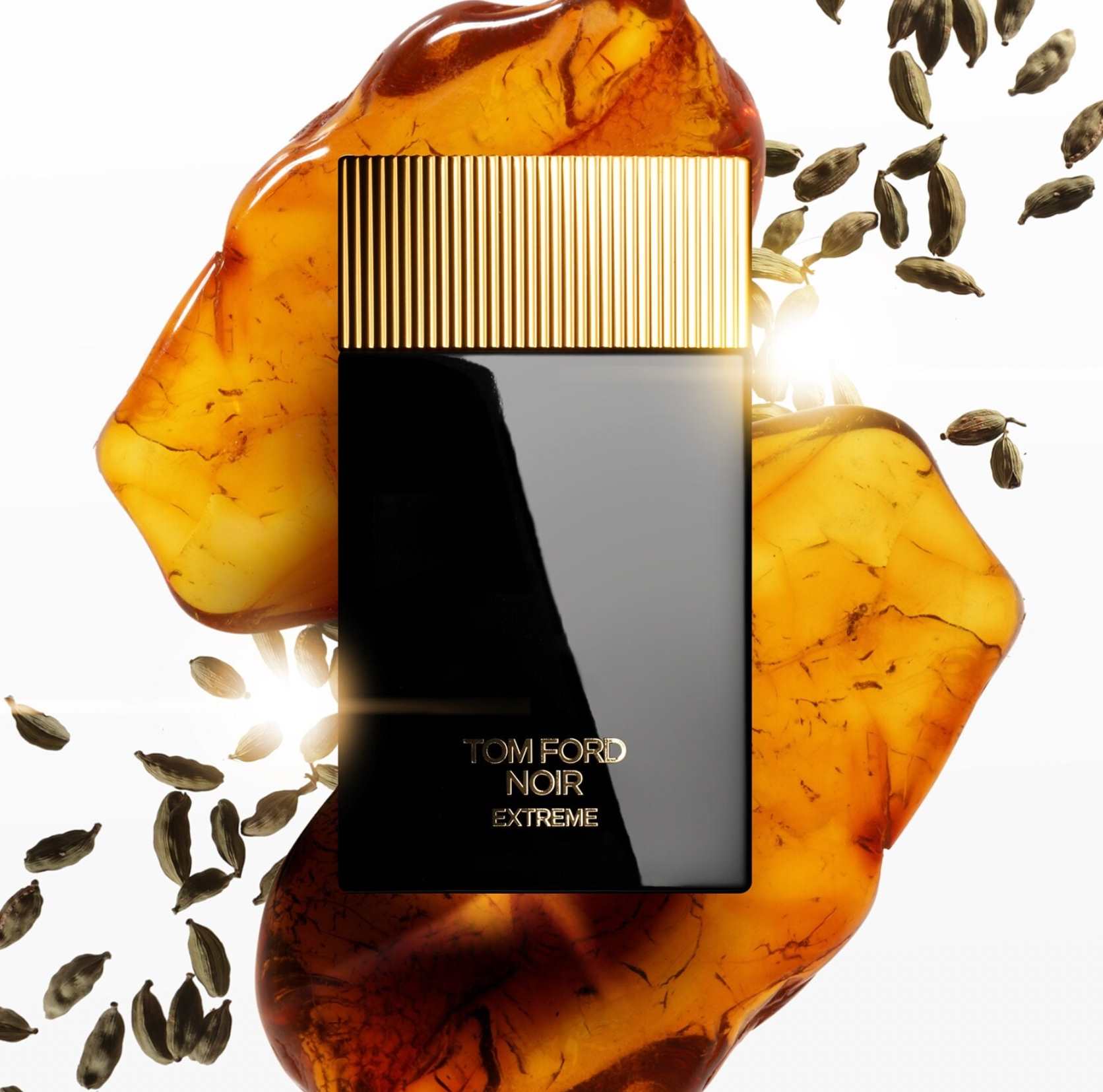 Tom Ford Noir Extreme Eau De Parfum
